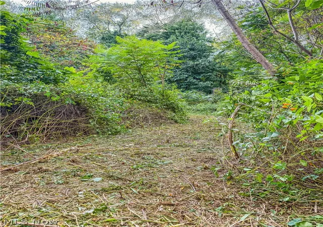 Photo 3 of Land for sale at Luneman Rd, Scio, OH 43988 | MLS# 5241612 | Listing updated on 2026-10-02