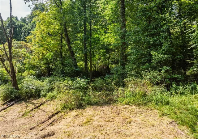 Photo 4 of Land for sale at Luneman Rd, Scio, OH 43988 | MLS# 5241612 | Listing updated on 2026-10-02