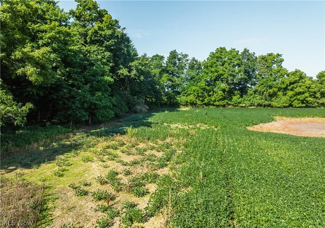 Photo 1 of Land for sale at Perry Rd, Centerburg, OH 43011 | MLS# 5242113 | Listing updated on 2026-09-03
