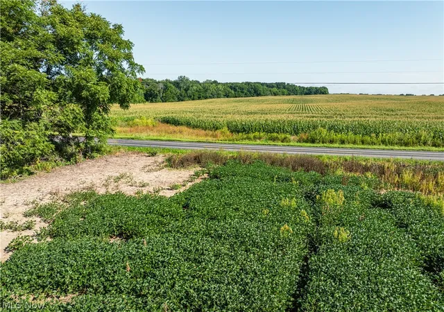 Photo 2 of Land for sale at Perry Rd, Centerburg, OH 43011 | MLS# 5242113 | Listing updated on 2026-09-03