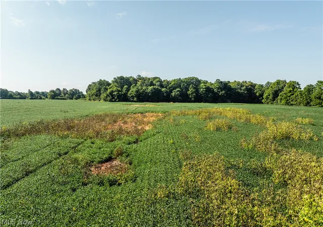 Photo 1 of Land for sale at Sycamore Rd, Centerburg, OH 43011 | MLS# 5242200 | Listing updated on 2026-09-03