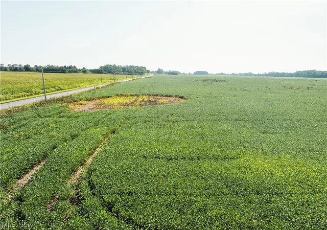 Photo 3 of Land for sale at Sycamore Rd, Centerburg, OH 43011 | MLS# 5242200 | Listing updated on 2026-09-03