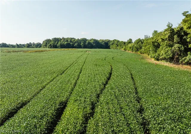 Photo 3 of Land for sale at Sycamore Rd, Centerburg, OH 43011 | MLS# 5242200 | Listing updated on 2026-09-03