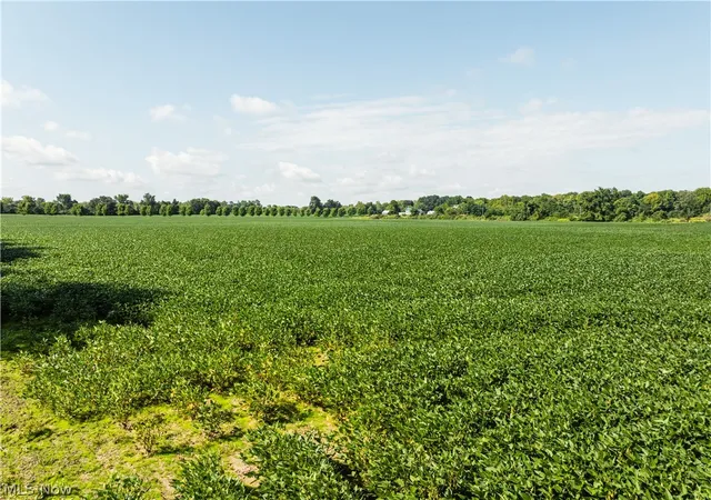 Photo 1 of Land for sale at Webster Rd, Centerburg, OH 43011 | MLS# 5242210 | Listing updated on 2026-09-03