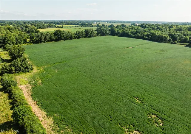 Photo 2 of Land for sale at Webster Rd, Centerburg, OH 43011 | MLS# 5242210 | Listing updated on 2026-09-03