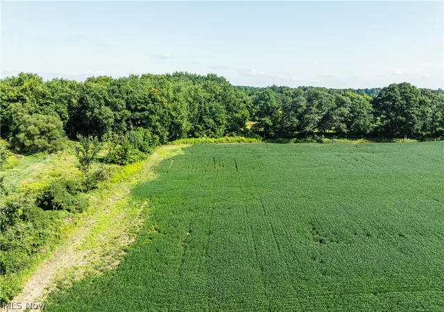 Photo 3 of Land for sale at Webster Rd, Centerburg, OH 43011 | MLS# 5242210 | Listing updated on 2026-09-03