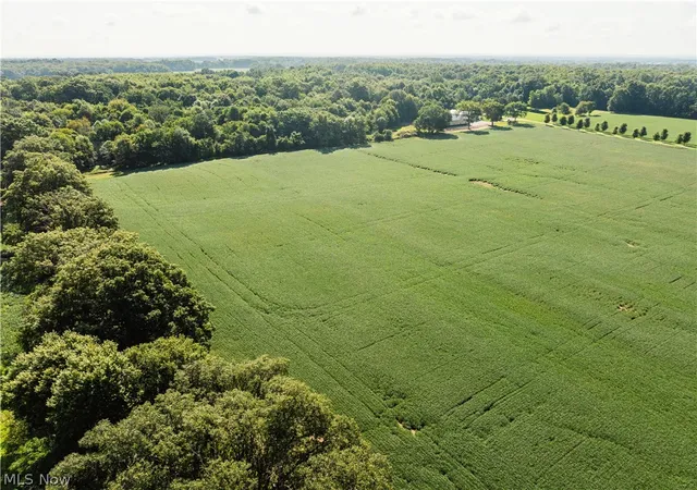 Photo 4 of Land for sale at Webster Rd, Centerburg, OH 43011 | MLS# 5242210 | Listing updated on 2026-09-03