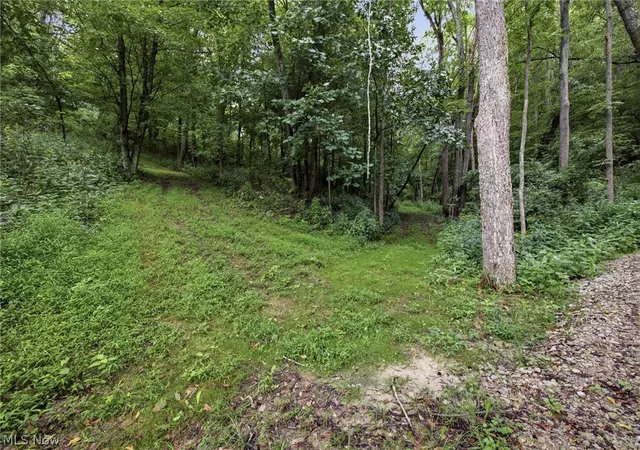 Photo 24 of Land for sale at 650 Township Rd 3292, Loudonville, OH 44842 | MLS# 5240427 | Listing updated on 2026-09-04