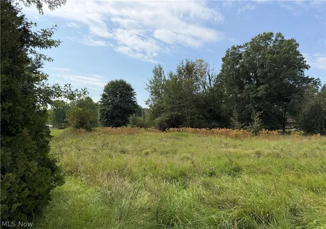 Photo 3 of Land for sale at 9552 Newton Fls Rd, Ravenna, OH 44266 | MLS# 5241657 | Listing updated on 2026-09-04