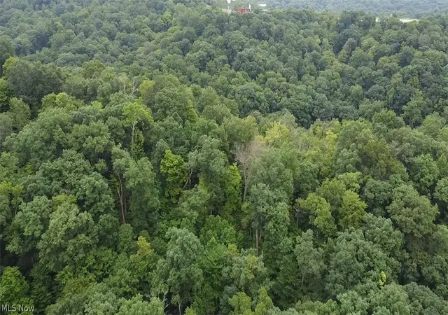 Photo 4 of Land for sale at 38559 Pattons Run Rd, Sardis, OH 43946 | MLS# 5242467 | Listing updated on 2026-09-04