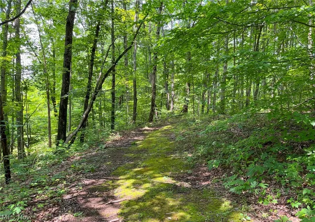 Photo 50 of Land for sale at 34668 Township Rd 2063, Woodsfield, OH 43793 | MLS# 5242479 | Listing updated on 2026-09-07