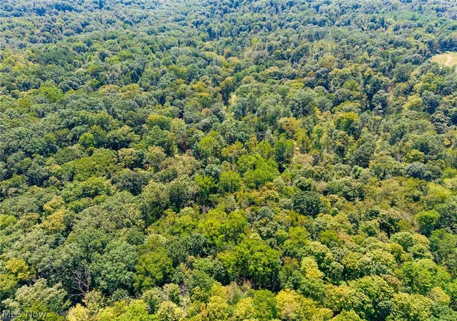 Photo 13 of Land for sale at County Rd 269, Glouster, OH 43730 | MLS# 5242681 | Listing updated on 2026-09-29