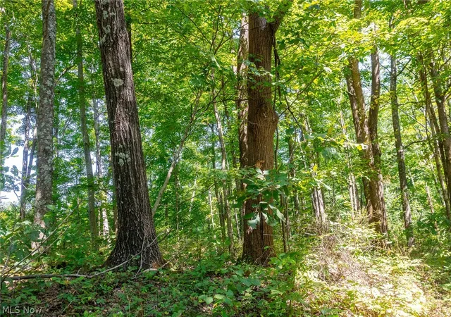 Photo 1 of Land for sale at County Rd 269, Glouster, OH 43730 | MLS# 5242681 | Listing updated on 2026-09-29
