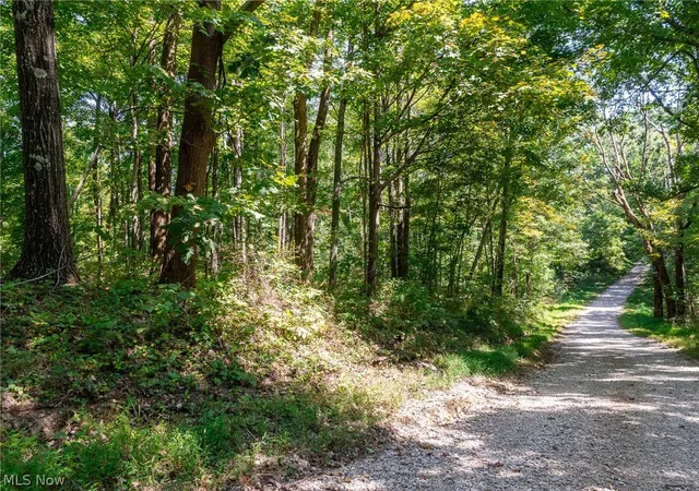 Photo 3 of Land for sale at County Rd 269, Glouster, OH 43730 | MLS# 5242681 | Listing updated on 2026-09-29