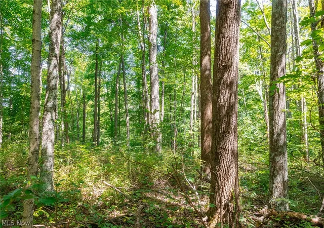 Photo 4 of Land for sale at County Rd 269, Glouster, OH 43730 | MLS# 5242681 | Listing updated on 2026-09-29