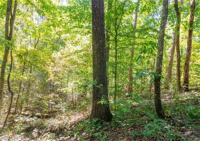 Photo 1 of Land for sale at 0 County Rd 269, Glouster, OH 43730 | MLS# 5242684 | Listing updated on 2026-09-29