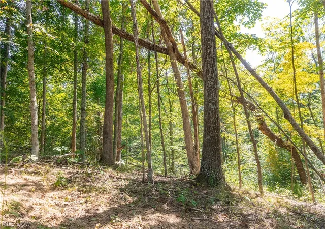 Photo 3 of Land for sale at 0 County Rd 269, Glouster, OH 43730 | MLS# 5242684 | Listing updated on 2026-09-29