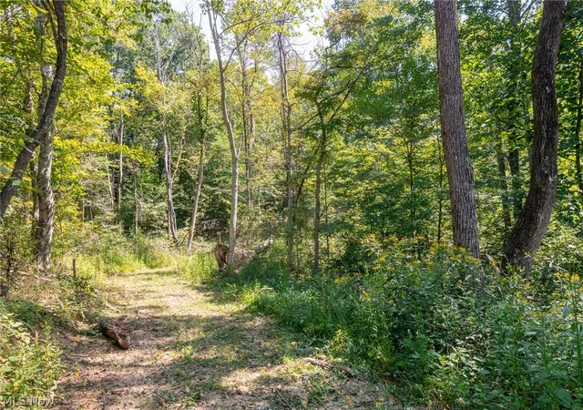 Photo 3 of Land for sale at 0 County Rd 269, Glouster, OH 43730 | MLS# 5242684 | Listing updated on 2026-09-29