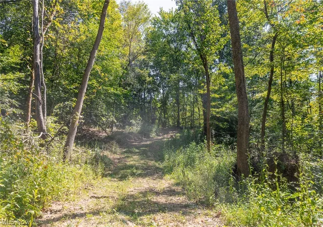 Photo 4 of Land for sale at 0 County Rd 269, Glouster, OH 43730 | MLS# 5242684 | Listing updated on 2026-09-29