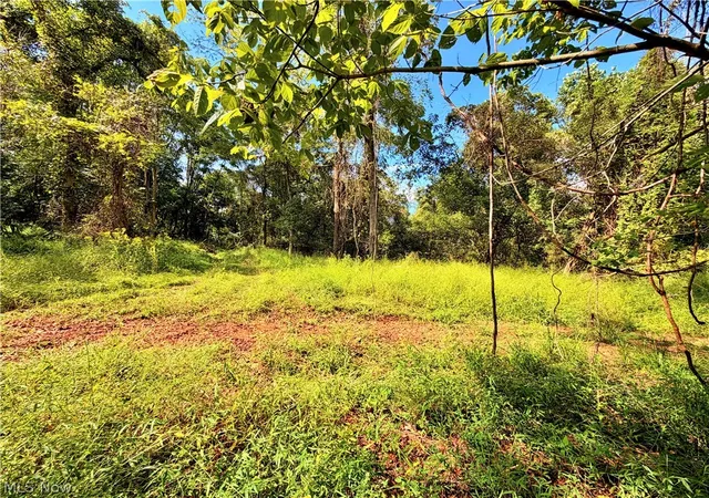 Photo 3 of Land for sale at 00 Dutch Ridge Rd, Ravenswood, WV 26164 | MLS# 5242793 | Listing updated on 2026-09-08