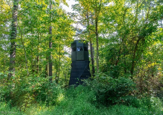 Photo 3 of Land for sale at Pumpkin Ridge Rd, Quaker City, OH 43773 | MLS# 5242958 | Listing updated on 2026-09-09