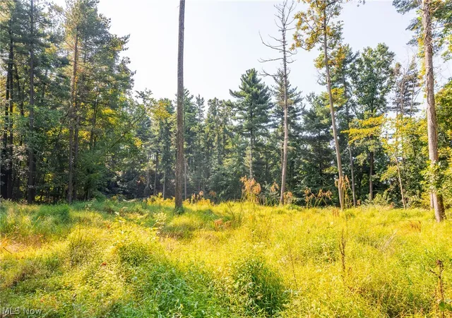 Photo 4 of Land for sale at Pumpkin Ridge Rd, Quaker City, OH 43773 | MLS# 5242958 | Listing updated on 2026-09-09