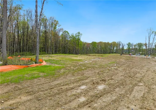 Photo 4 of Single family home for sale at 9523 River Birch Run, Brecksville, OH 44141 | MLS# 5243275 | Listing updated on 2026-09-09