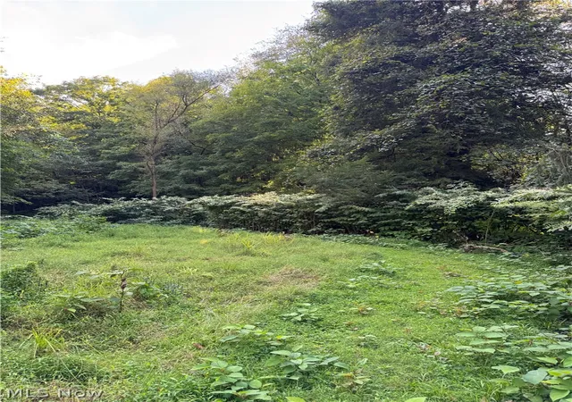 Photo 1 of Land for sale at 53520 Trough Run Rd, Bellaire, OH 43906 | MLS# 5242944 | Listing updated on 2026-09-09