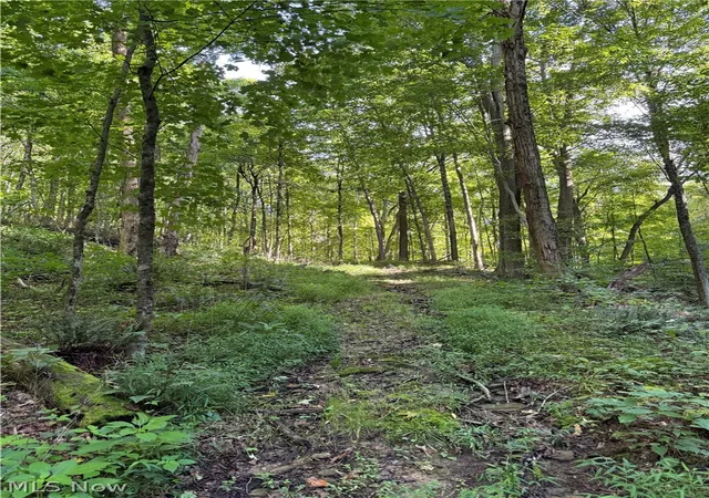 Photo 2 of Land for sale at 53520 Trough Run Rd, Bellaire, OH 43906 | MLS# 5242944 | Listing updated on 2026-09-09