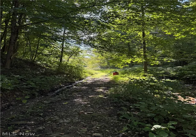 Photo 32 of Land for sale at 53520 Trough Run Rd, Bellaire, OH 43906 | MLS# 5242944 | Listing updated on 2026-09-09