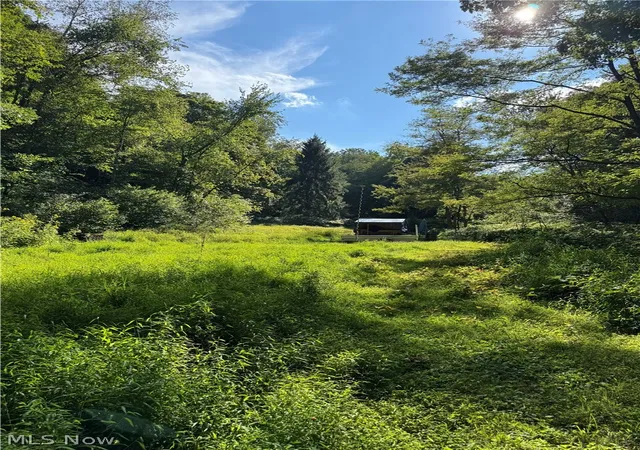 Photo 2 of Land for sale at 53520 Trough Run Rd, Bellaire, OH 43906 | MLS# 5242944 | Listing updated on 2026-09-09