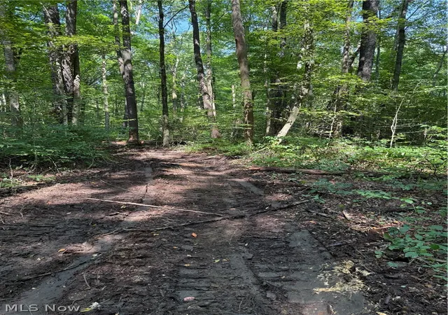 Photo 2 of Land for sale at 6951 / 7151 Woodard Rd, Andover, OH 44003 | MLS# 5243494 | Listing updated on 2026-10-02