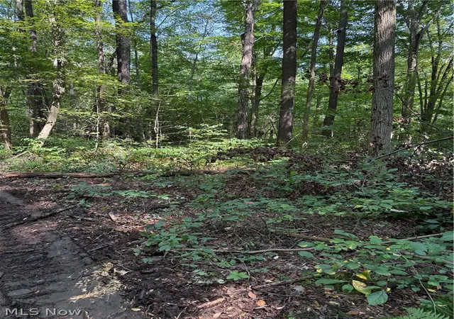 Photo 3 of Land for sale at 6951 / 7151 Woodard Rd, Andover, OH 44003 | MLS# 5243494 | Listing updated on 2026-10-02