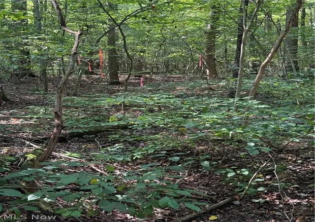 Photo 3 of Land for sale at 6951 / 7151 Woodard Rd, Andover, OH 44003 | MLS# 5243494 | Listing updated on 2026-10-02