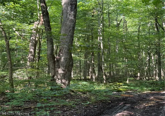 Photo 4 of Land for sale at 6951 / 7151 Woodard Rd, Andover, OH 44003 | MLS# 5243494 | Listing updated on 2026-10-02
