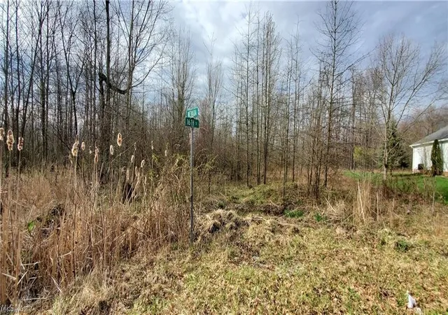 Photo 1 of Land for sale at 154 Nevada Ave, Youngstown, OH 44512 | MLS# 5243706 | Listing updated on 2026-09-10