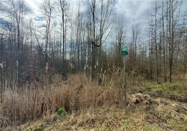 Photo 1 of Land for sale at 16th Street, Sebring, OH 44672 | MLS# 5243705 | Listing updated on 2026-09-10