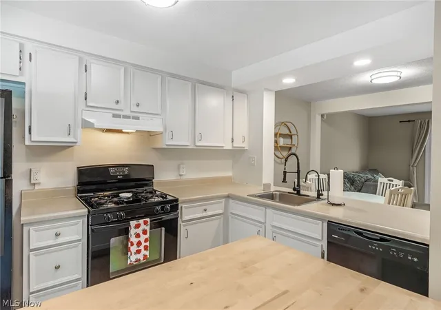 Photo 4 of Condo for sale at 3848 Lake Run Blvd, Stow, OH 44224 | MLS# 5243728 | Listing updated on 2026-09-10