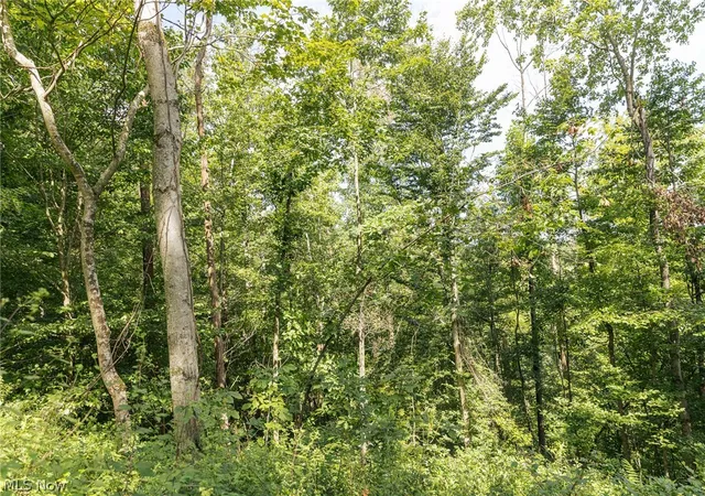 Photo 3 of Sale Pending at 2145 Deans Frk Rd #2, Whipple, OH 45788 | MLS# 5239567 | Listing updated on 2026-10-02