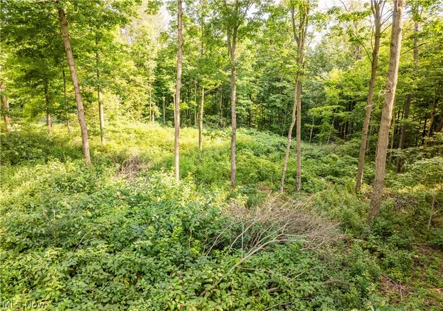 Photo 3 of Sale Pending at Private Rd 3000, Millersburg, OH 44654 | MLS# 5244007 | Listing updated on 2026-10-06