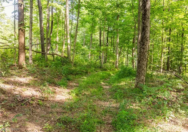 Photo 50 of Land for sale at Private Rd 3000, Millersburg, OH 44654 | MLS# 5244007 | Listing updated on 2026-09-11