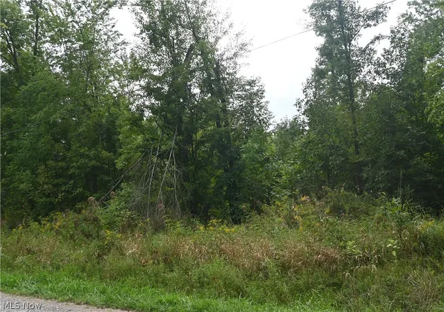 Photo 3 of Sale Pending at Lewis Rd, Pierpont, OH 44082 | MLS# 5244067 | Listing updated on 2026-09-14