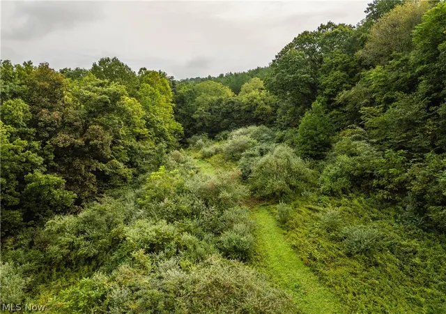 Photo 1 of Land for sale at Sr 60, Dresden, OH 43821 | MLS# 5242760 | Listing updated on 2026-09-15
