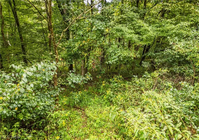Photo 20 of Land for sale at Sr 60, Dresden, OH 43821 | MLS# 5242760 | Listing updated on 2026-09-15