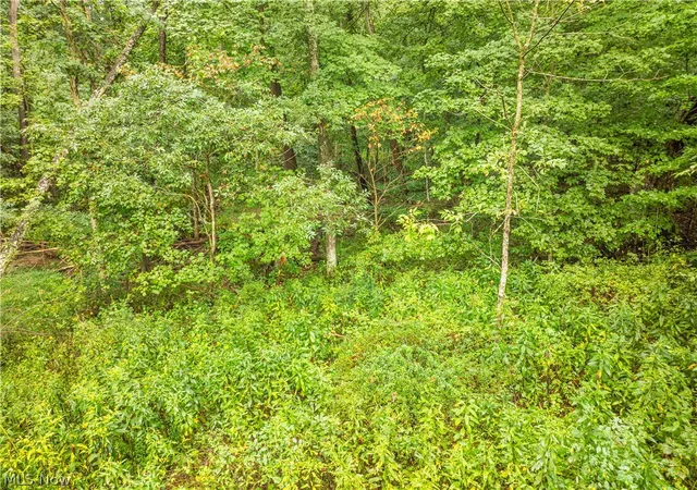 Photo 2 of Land for sale at Sr 60, Dresden, OH 43821 | MLS# 5242760 | Listing updated on 2026-09-15