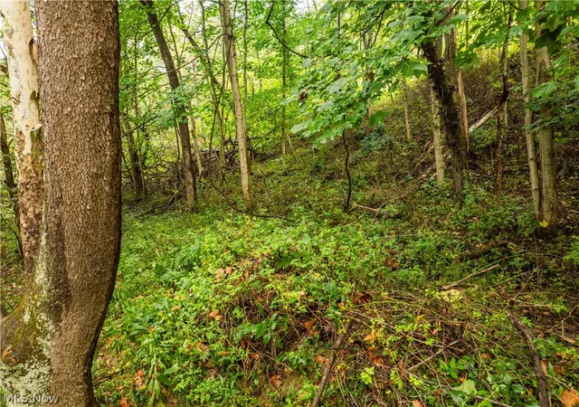 Photo 3 of Land for sale at Sr 60, Dresden, OH 43821 | MLS# 5242760 | Listing updated on 2026-09-15