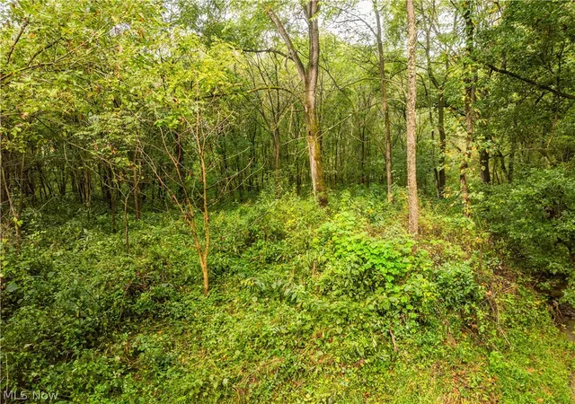 Photo 3 of Land for sale at Sr 60, Dresden, OH 43821 | MLS# 5242760 | Listing updated on 2026-09-15