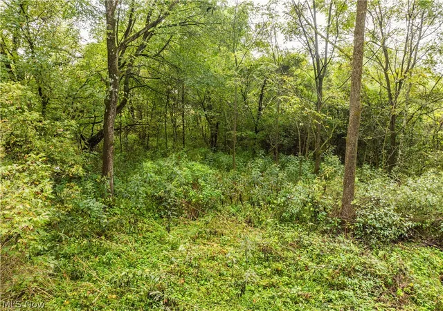 Photo 4 of Land for sale at Sr 60, Dresden, OH 43821 | MLS# 5242760 | Listing updated on 2026-09-15