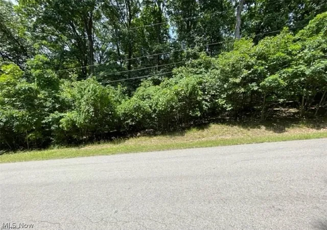 Photo 3 of Land for sale at 47080 Tomahawk Dr, Negley, OH 44441 | MLS# 5243824 | Listing updated on 2026-09-12