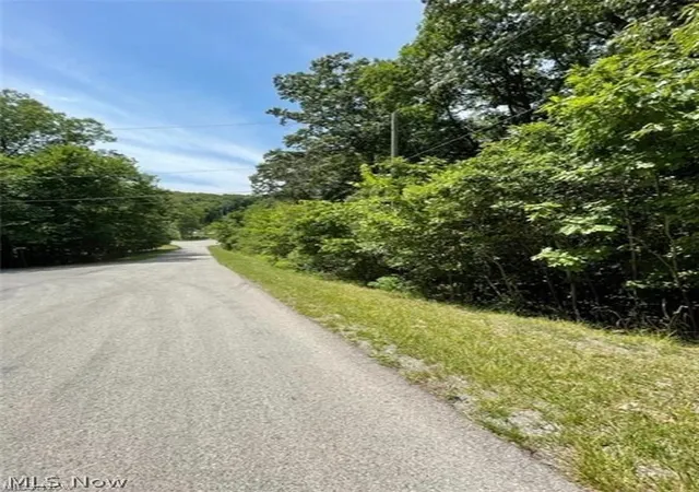 Photo 4 of Land for sale at 47080 Tomahawk Dr, Negley, OH 44441 | MLS# 5243824 | Listing updated on 2026-09-12